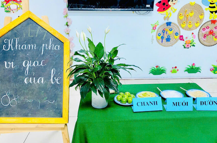  Khám phá vị giác cùng các bé 3 – 4 tuổi