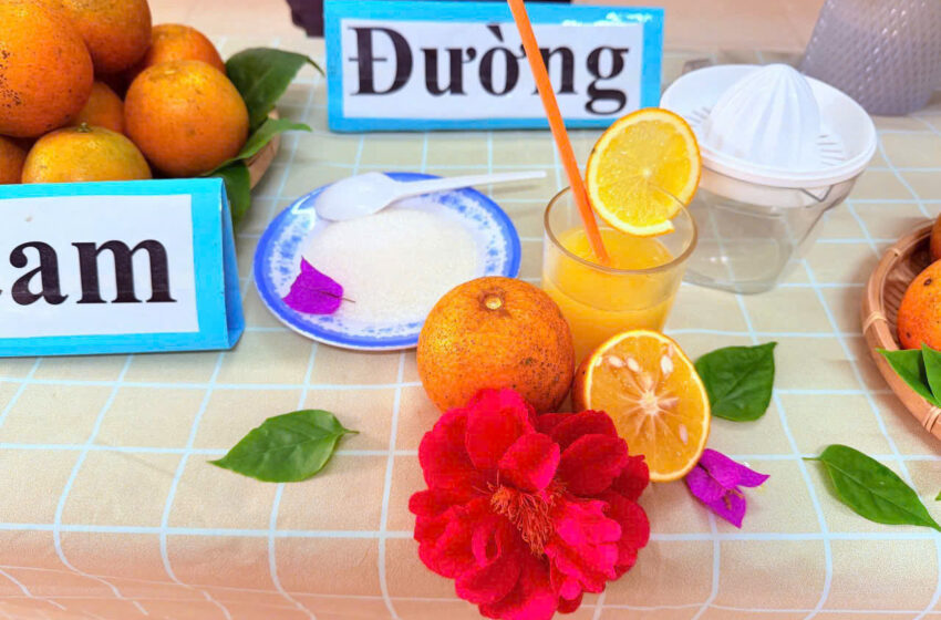  Hoạt động trải nghiệm ‘Bé vắt nước cam”